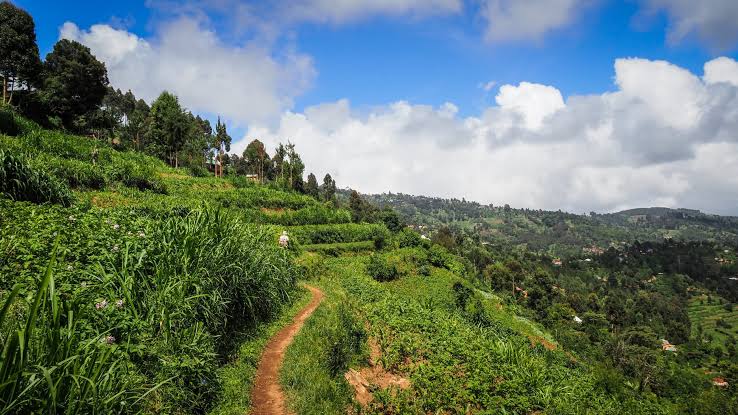 5 Days Usambara Mountains, Mkomazi and Coast Extension
