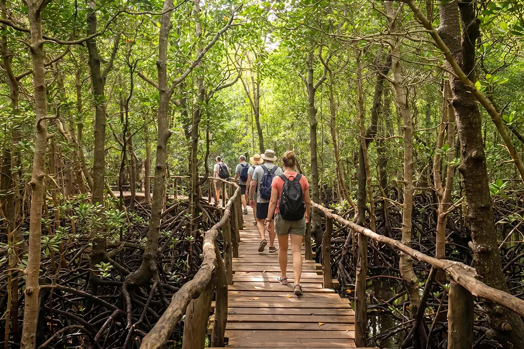 Jozani Forest Nature Tour
