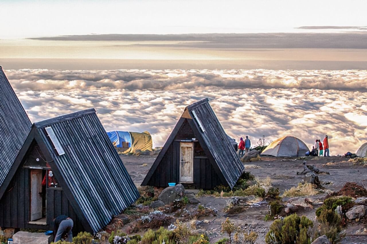 Kilimanjaro Day Hike to Mandara Hut