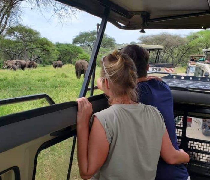 Tanzania Honeymoon Safari: How to Design a Romantic Bush-and-Beach Journey