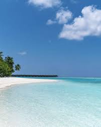 Tanzania Safari and Zanzibar: How to Balance Bush and Beach