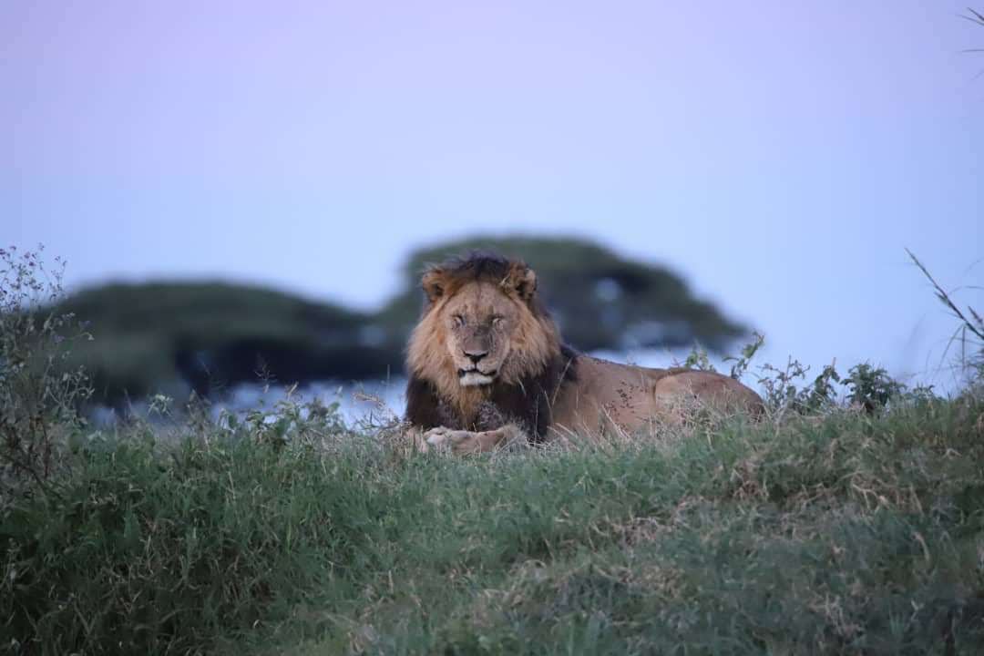 8-Day Nyerere & Ruaha Fly-In Wilderness Safari