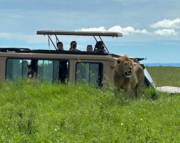 How Much Does a Tanzania Safari Cost in 2026?