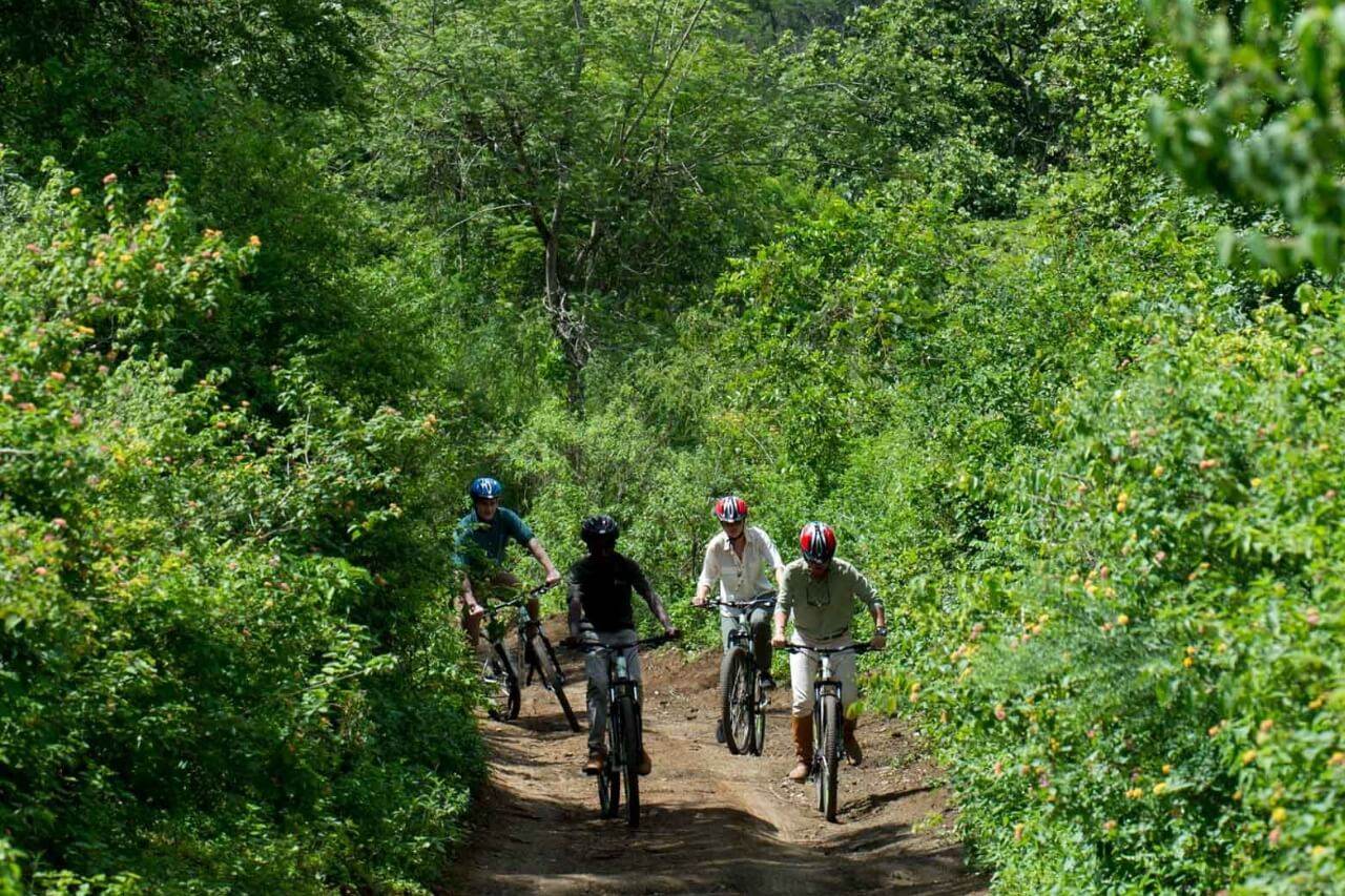 Cycling Tour - Usa River