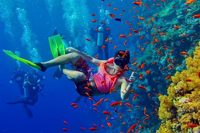 Mnemba Atoll Snorkelling Excursion