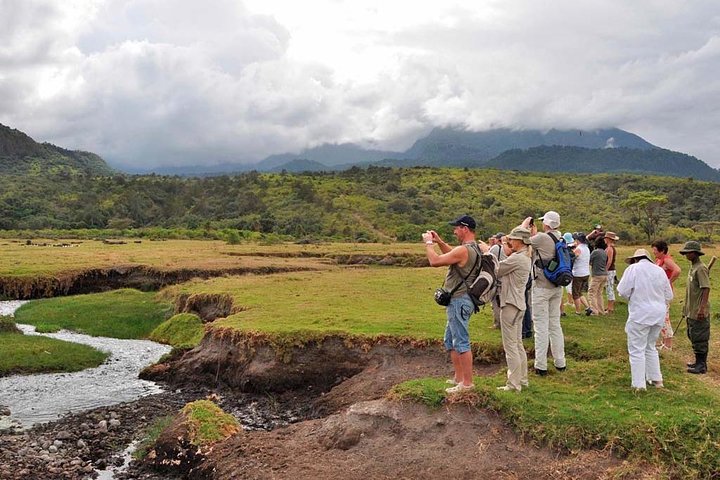 Arusha National Park Walking Safari