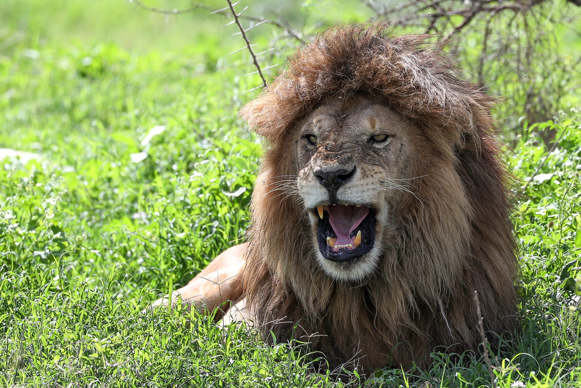 8-Day Tanzania Safari & Zanzibar Escape