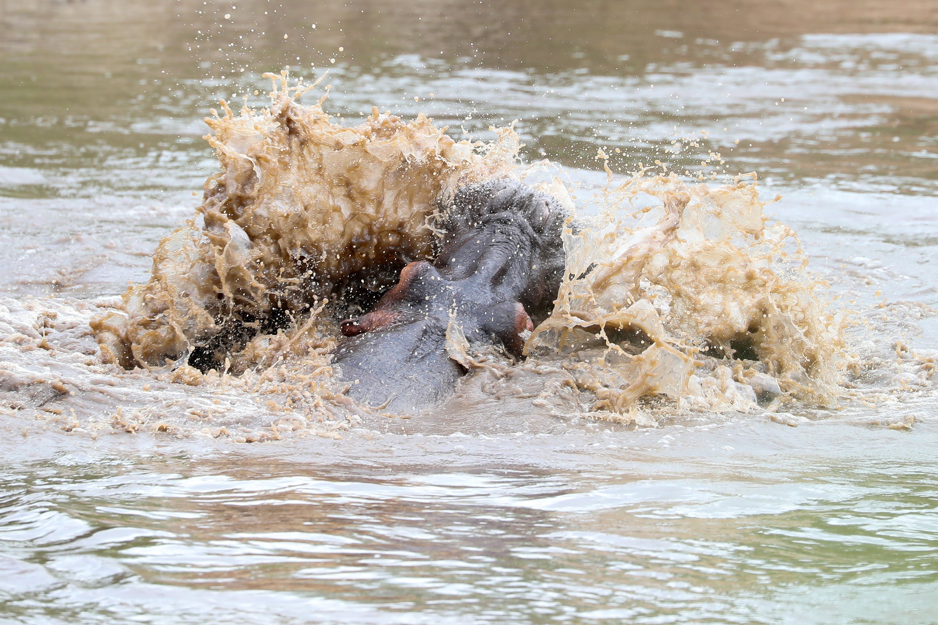 3-Day Tarangire, Lake Manyara & Ngorongoro Safari
